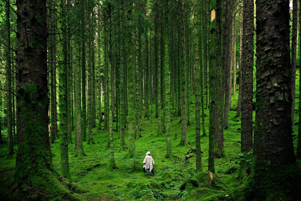 Can Artificial Intelligence Tell if We’re Living in a Simulation?