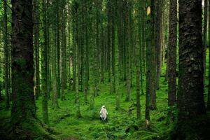 Can Artificial Intelligence Tell if We’re Living in a Simulation?